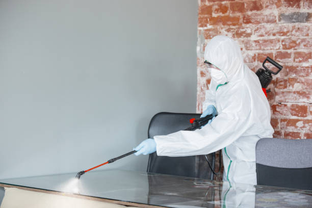 Best Mold Removal for HVAC Installations in Earlington, KY